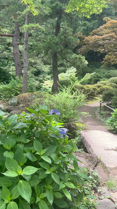 Kansen-en Park, Shinjuku, Tokyo, Japan - June 2025