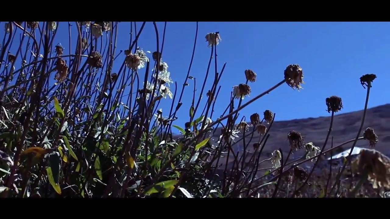 La Real Entrega -  Inconmovible Es El Reino