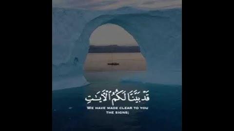 ايات قصيره القارئ شريف مصطفى