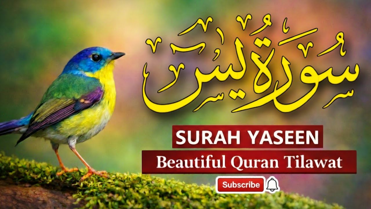 Surah Yaseen Full Tilawat | Ramadan Mubarak 2026 | Beautiful Quran  | Makkah Madinah Islamic Video