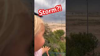 Storm Incoming Camels Dont Care