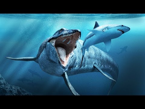 Video: Sea monsters. The most terrible monsters