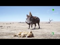 El Rey León 2019 Escena Le Llamaremos Fred HD El Rey León 2019 Escena Le Llamaremos Fred HD