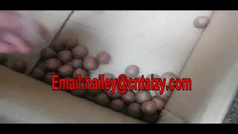 Shuliy  macadamia nuts shell cutting machine