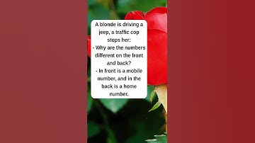 Get Ready to Laugh: Hilarious Jokes You Need to Hear!