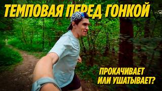 картинка: Темповая 2×10 минут за неделю до старта: форма огонь, но не всё гладко