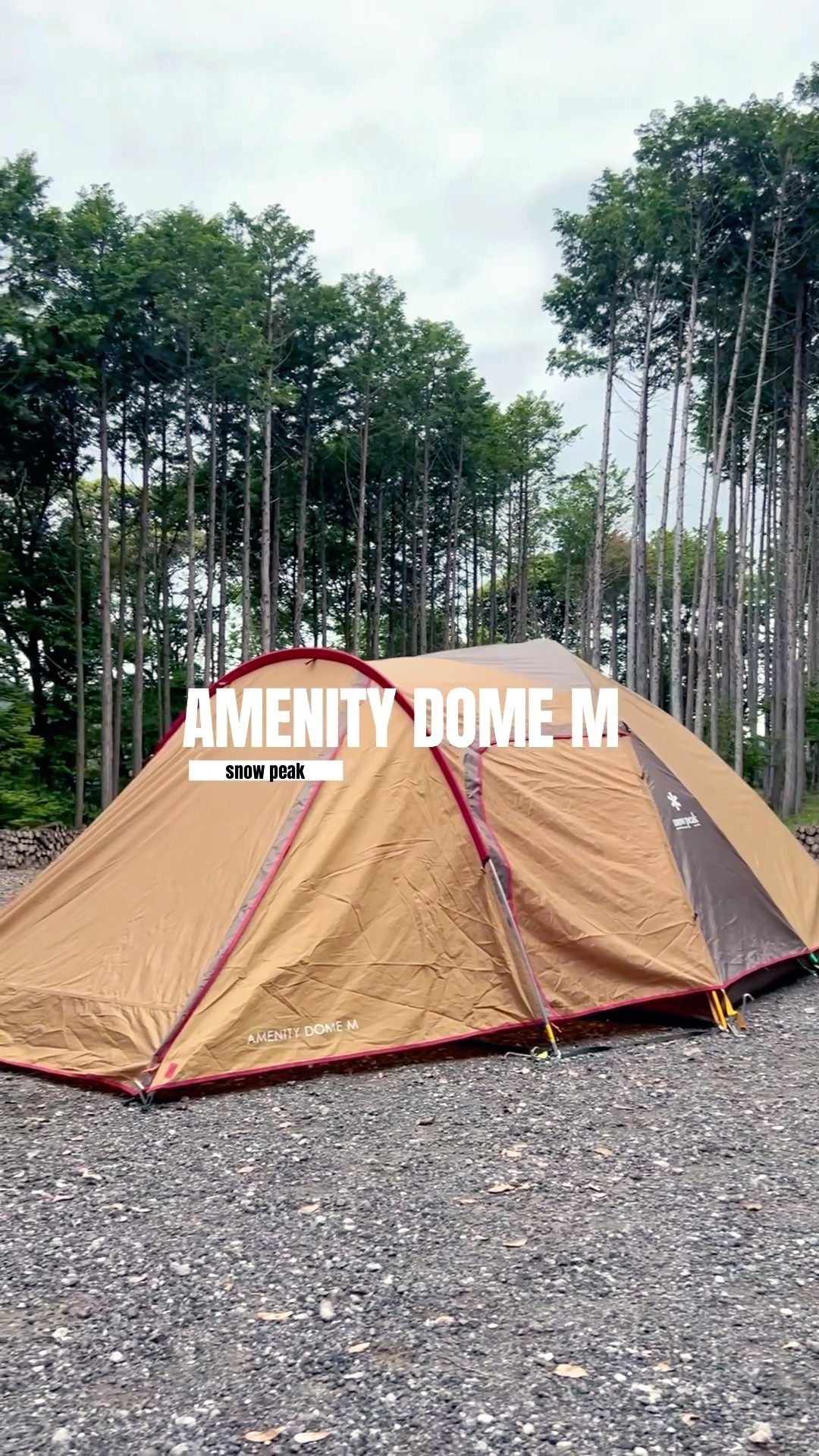 snowpeak Amenity Dome M Features #camping #tent setup #snowpeak