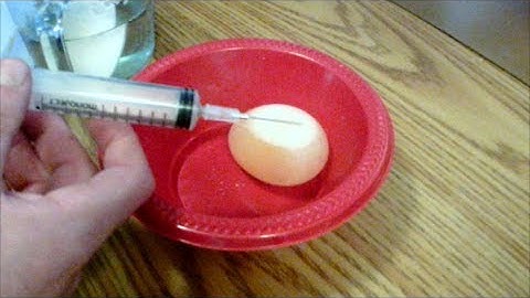 How to make a bouncing BOUNCY egg. Flubber