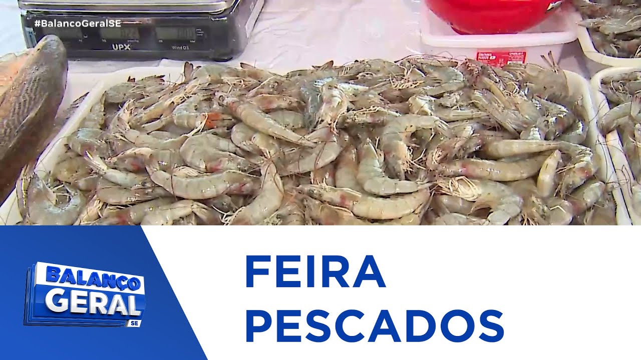 Tradicional feira de pescados acontece até a próxima sexta-feira (25) em Aracaju - BGT