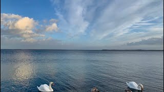 Karaoke -Cover / Fluss von LEA