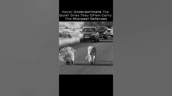 Never Underestimate Them...🔥💯 #motivation #quotes #success #mindset #shorts