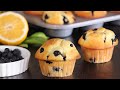 Blueberry Lemon Muffins | Bakery Style Muffins | How Tasty Channel