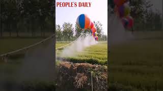Homemade helium balloon pesticide sprayer developed by a local Chinese farmer
