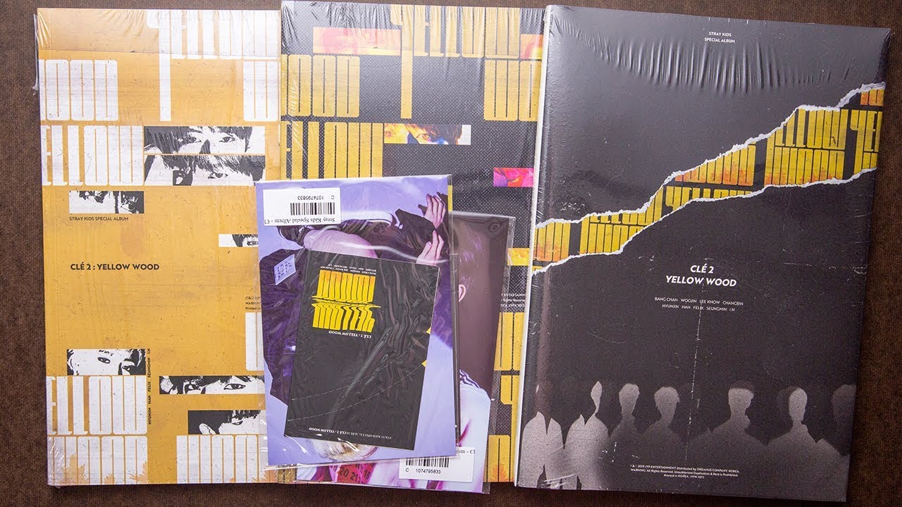 Unboxing | Stray Kids Special Album - Clé 2 : Yellow Wood - YouTube