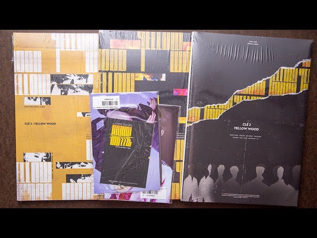 Unboxing | Stray Kids Special Album - Clé 2 : Yellow Wood - YouTube