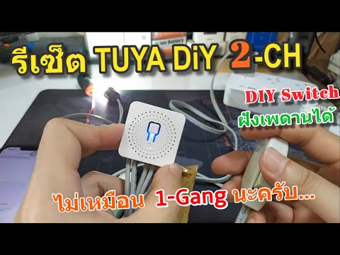 วิธีรีเซ็ต Smart Switch TUYA DIY mini 2 Gang/2CH (reset สวิตช์ Tuya mini 2ปุ่ม) เชื่อมแอพ Smartlife