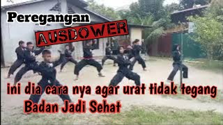 Pemanasan Sebelum Latihan Pencak Silat ||Ausdower #psht