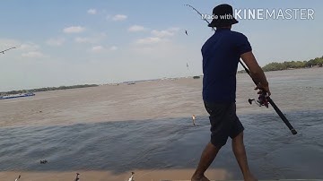 Trở lại điểm câu huyền thoại..trụ cầu mỹ lợi câu cá ngát..cá ăn lia lịa