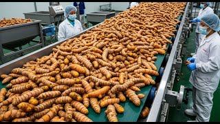 Inside A Turmeric Starch Production Factory Like Youve Never Seen