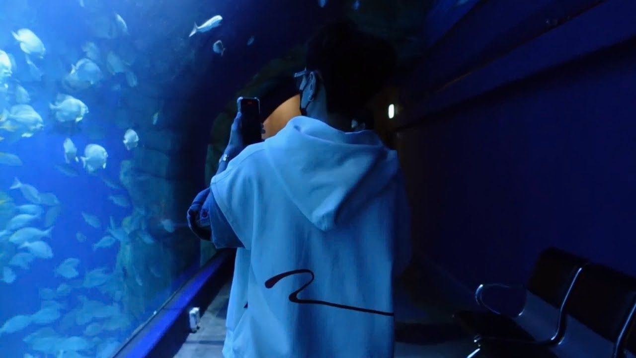 About MasterD #34: Lớp 1D chúng em đi thủy cung ạ