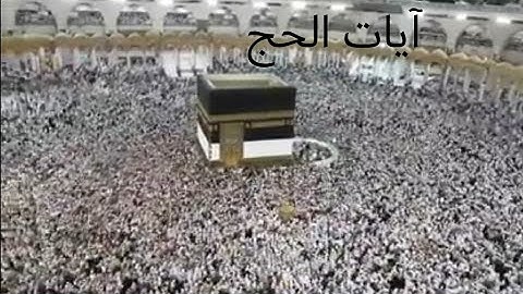 آيات الحج القارئ وديع اليمني