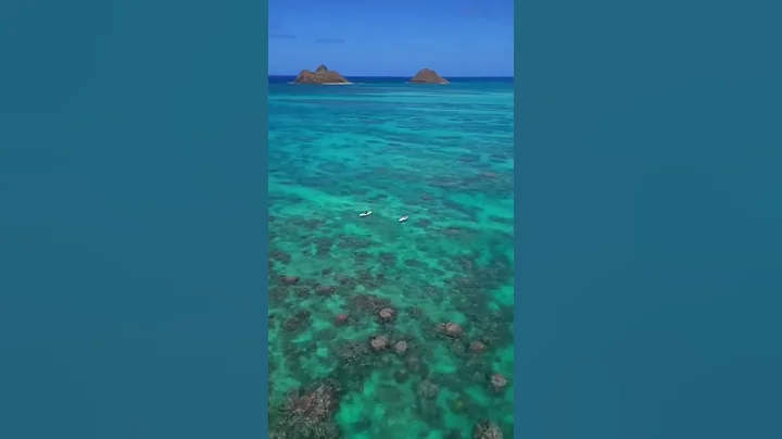 Best drone moves for cinematic videos! DJI mini 3