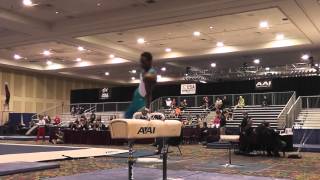 Kiwan Watts - Pommel Horse - 2015 Winter Cup Prelims