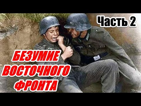 ВОСПОМИНАНИЯ АРТИЛЛЕРИСТА ВЕРМАХТА. Алоис Цвайгер. Часть 2