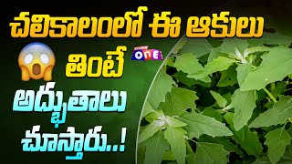 Benefits of Bathua Leaves in Telugu | Simple Home Remedies for health in Telugu | Studio One Plus