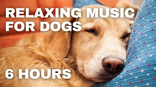 CD Relaxing Music With Dog ソニーミュージック 中古品 CD Relaxing Music With Dog ソニーミュージック 中古品 CD Relaxing