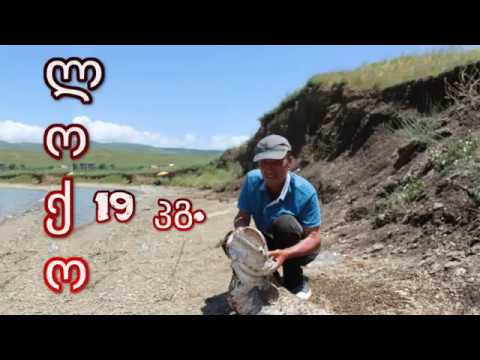 თბილისელი 19 კგ-ნი თეთრი ლოქო