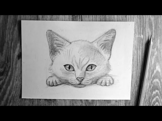 Как нарисовать кота карандашом - YouTube