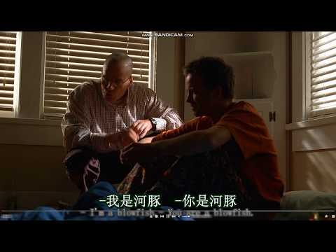 Breaking Bad  I'm a blowfish.  絕命毒師 我是河豚