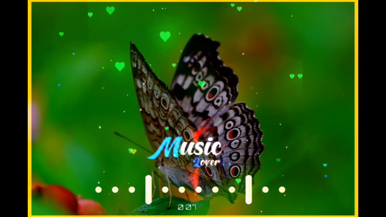 Whatsapp status video best whatsapp status feel the song whatsapp