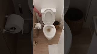 3 Ways To Elevate Your Everyday Life #elevateeverydaylife Profile