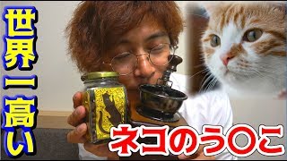 ネコのう〇こで作るコーヒー飲んでみた【コピ・ルアク】