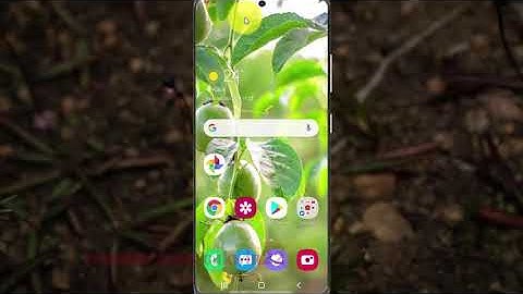 Samsung Galaxy S20 : How to enable or disable screen reader read caller ID aloud (Android 10)