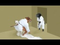 Dog judo classic  busy