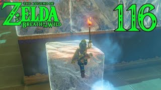[116] Trials Of Riddles And Ice! (Let's Play Legend Of Zelda BotW Champion's Ballad)
