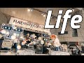 NEMOPHILA / Life [Official Live Video]