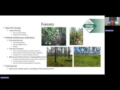 NC Wildlife SciComm Webinar: Restoring Our Game Lands