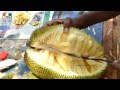 PANASA PANDU | JACK FRUIT | Jaca-Dura | Nangka | Varikka | Koozha | Khaja Kathal | Waraka Mp3