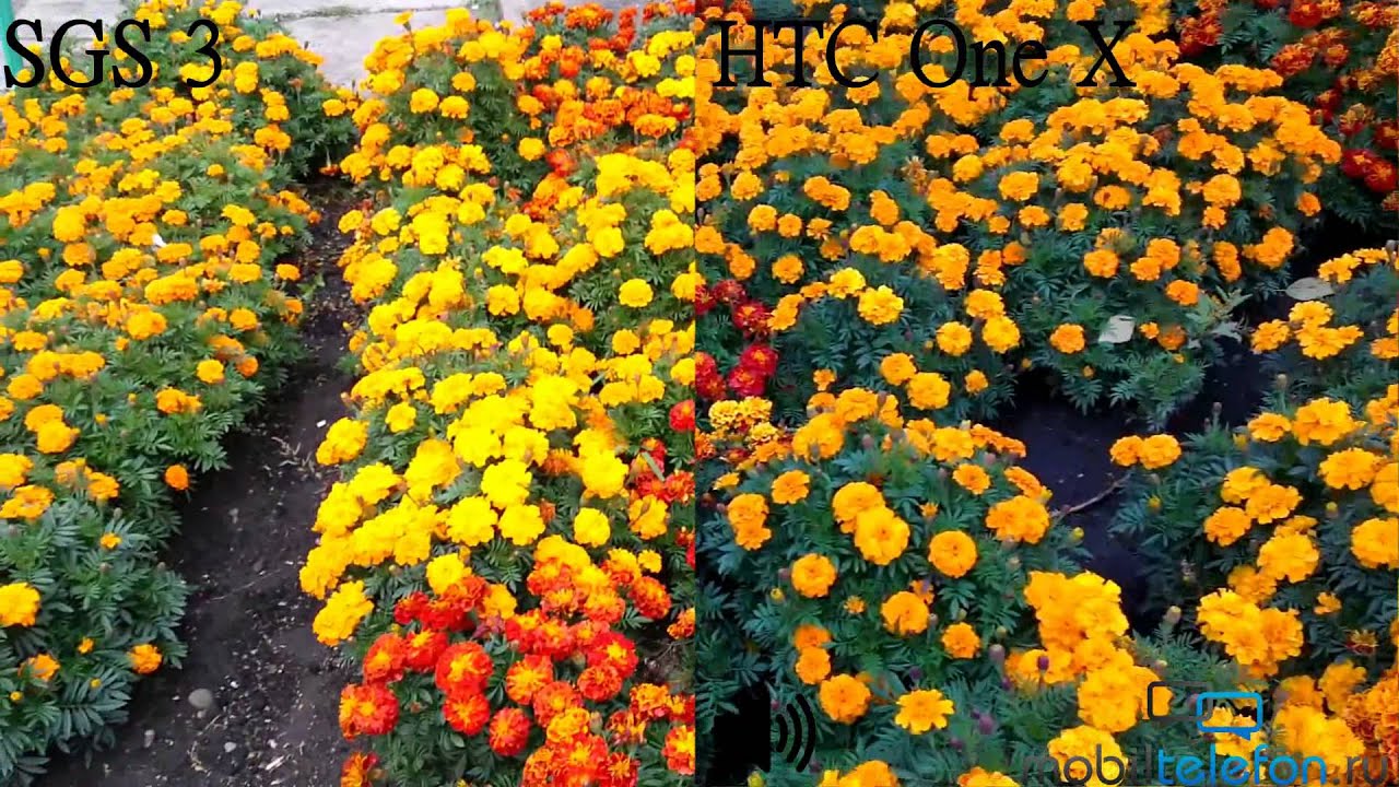 Samsung Galaxy S 3 vs HTC One X: сравнение камер (camera test, comparison)