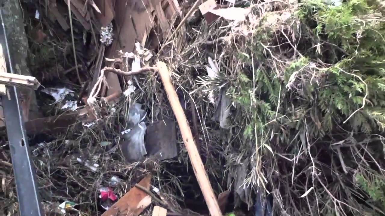 東日本大震災　楢葉町木戸地区　１０キロ圏内　３／２５午後