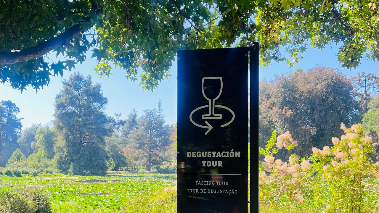 Wine Tasting Concha y Toro 