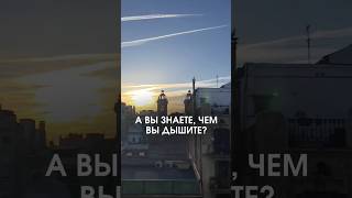 Как МИКРОПЛАСТИК попадает в наши легкие?