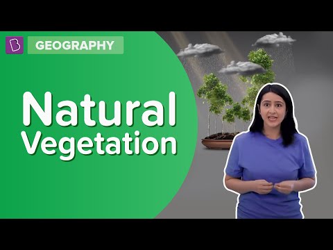 Video: Zijn de natuurlijke vegetatie?