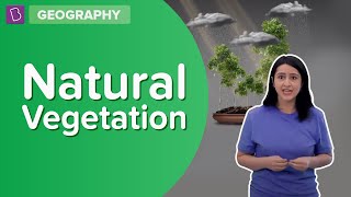 Natural Vegetation | Class 8 - Geography | Learn With BYJU'S