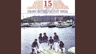 Miniatura del video "Acapulco Tropical - Amor Perdido"