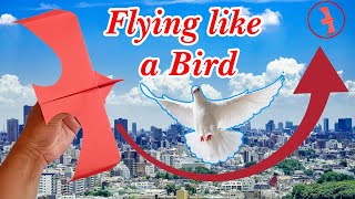 how to make origami paper airplane I aeroplane kaise baney I paper plane flying like a bird